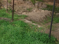 Alcantara_gurne - Zona_archeologica_23122011 049.jpg